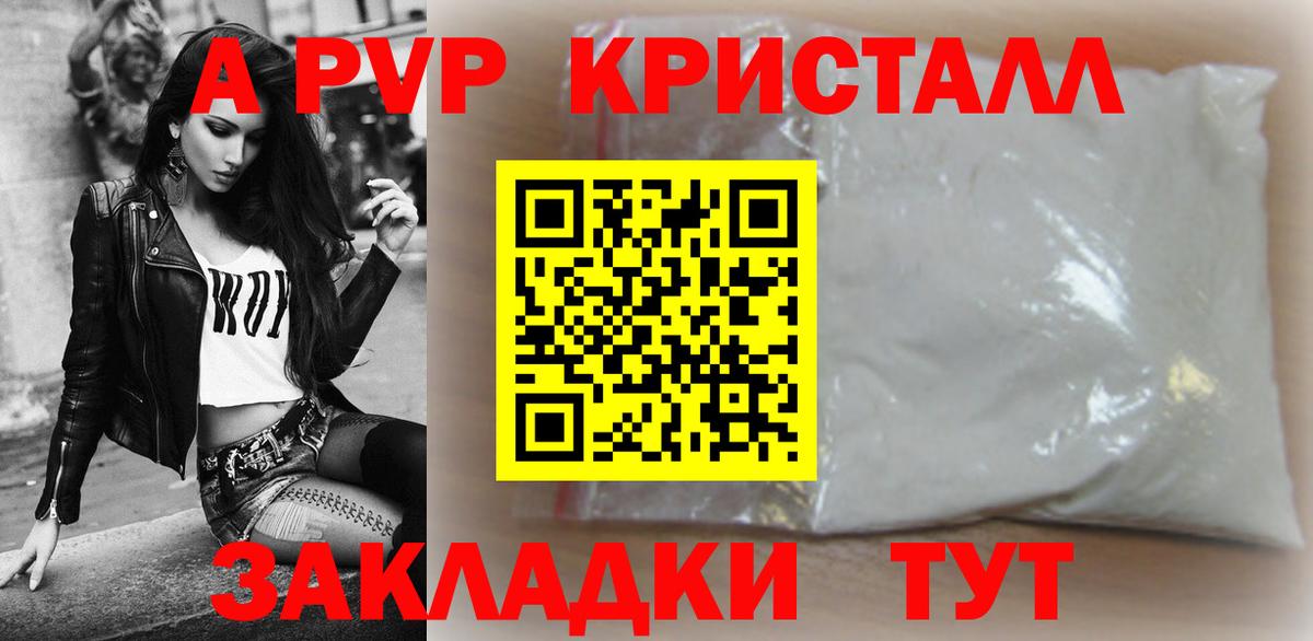 МЕФ Новозыбков