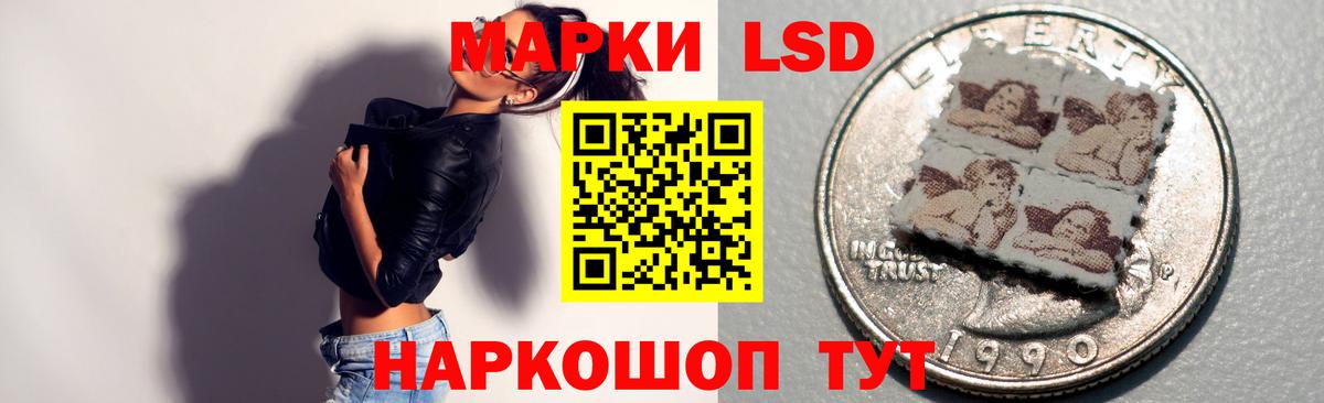 Лсд 25 экстази ecstasy  Вход с VPN  Новозыбков  LSD-25 экстази ecstasy 